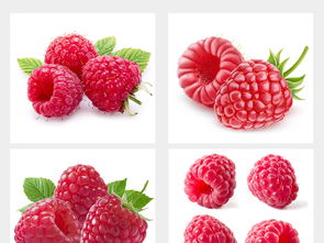 多種水果高清大圖與設(shè)計(jì)素材集合，附飲品美食大全與新鮮蔬菜資源