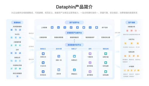 面向2025 數(shù)據(jù)戰(zhàn)略制勝，必備數(shù)據(jù)中臺系統(tǒng)選型與數(shù)據(jù)處理服務(wù)深度解析